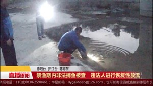 禁渔期内非法捕鱼被查   违法人进行恢复性放流
