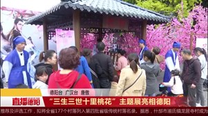 “三生三世十里桃花”主题展亮相德阳