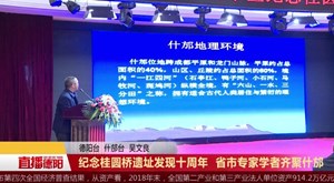 纪念桂圆桥遗址发现十周年  省市专家学者齐聚什邡