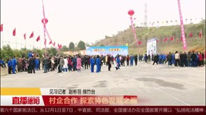 村企合作  探索特色发展之路