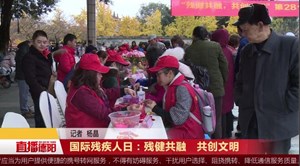 国际残疾人日：残健共融   共创文明