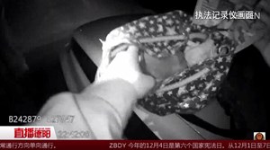 广汉：持气枪非法捕猎  两男子被抓现形
