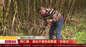 陈仁建：退伍不褪色的致富“庄稼汉”  