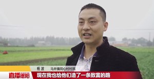 杨波：家人同心 幸福同行
