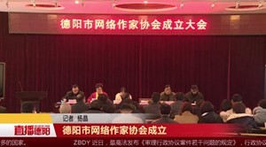 德阳市网络作家协会成立