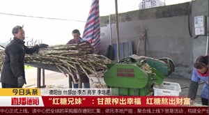 “红糖兄妹”：甘蔗榨出幸福  红糖熬出财富