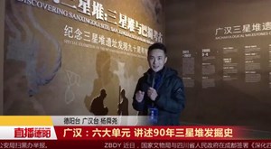 广汉：六大单元 讲述90年三星堆发掘史