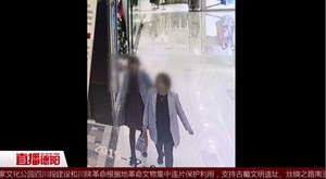 相互掩护 两女子顺走价值6千多羊绒衫