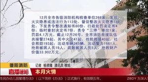 德阳2019年12月火情