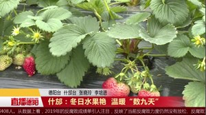 什邡：冬日水果艳  温暖“数九天”