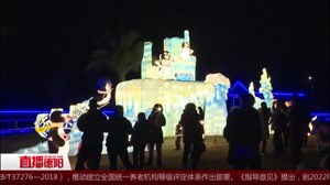 2020德阳灯会昨晚开灯