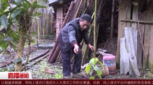 谢启清：奋斗改变命运