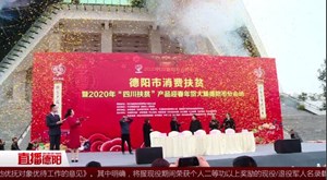 扶贫产品旺市场 迎春年货促消费