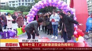 年味十足！广汉新春游园会热闹举行