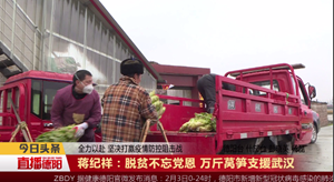 蒋纪祥：脱贫不忘党恩 万斤莴笋支援武汉