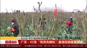 广汉：42支“党员先锋队”奋战在防疫最前线