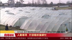 人勤春早 什邡烟农备耕忙