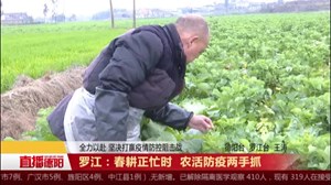 罗江：春耕正忙时 农活防疫两手抓