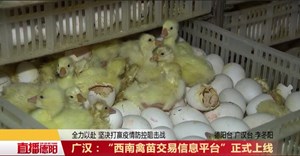 广汉：“西南禽苗交易信息平台”正式上线