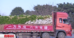 暖心！广汉“蔬菜一哥”500吨蔬菜支援防疫一线