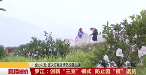 罗江：创新“三变”模式 防止因“疫”返贫