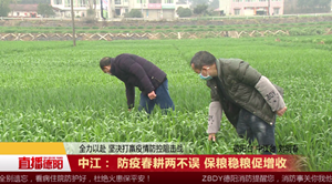中江： 防疫春耕两不误 保粮稳粮促增收