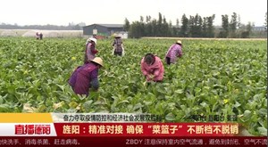 旌阳：精准对接 确保“菜篮子”不断档不脱销