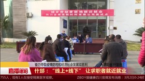 什邡：“线上+线下” 让求职者就近就业