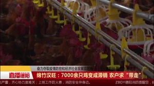 绵竹汉旺：7000余只鸡变成滞销 农户求“带走”