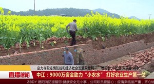 中江：9000万资金助力“小农水” 打好农业生产第一仗
