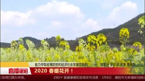2020 春暖花开！