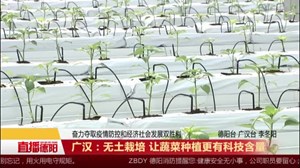 广汉：无土栽培 让蔬菜种植更有科技含量
