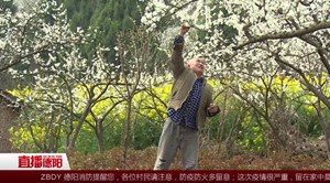 中江：春日美景多 处处是生机