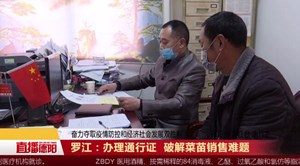 罗江：办理通行证 破解菜苗销售难题