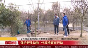 保护野生动物 什邡检察在行动