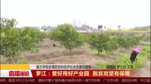 罗江：管好用好产业园 脱贫攻坚有保障