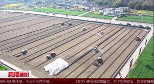 广汉：农田开启托管模式 农民雇 “保姆”种地