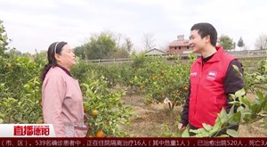 罗江：柑橘滞销 邮政来帮忙