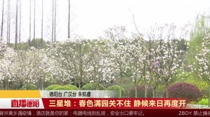 三星堆：春色满园关不住 静候来日再度开