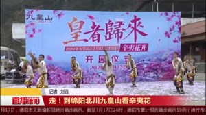 走！到绵阳北川九皇山看辛夷花