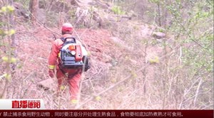 谢云：大山为伴绿树为友 只为守护绿水青山