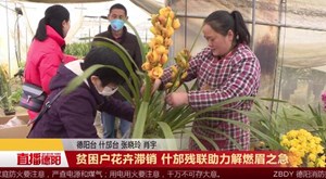 贫困户花卉滞销 什邡残联助力解燃眉之急