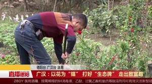 广汉：以花为“媒” 打好“生态牌” 走出致富路