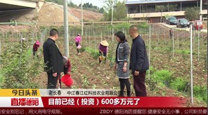 中江：产业有信心 脱贫有保障