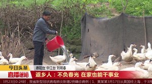 返乡人：不负春光 在家也能干事业