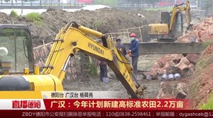广汉：今年计划新建高标准农田2.2万亩