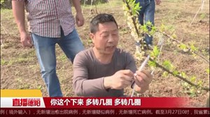 中江：农技服务助力脱贫增收