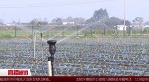 旌阳：打通农业用水“最后一公里”