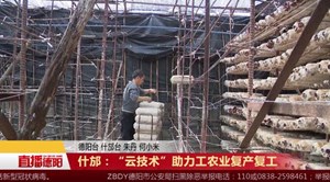 什邡：“云技术”助力工农业复产复工