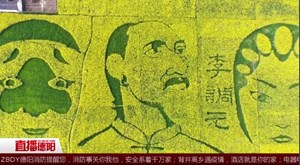 罗江：“产业+文化” 双车头激发乡村活力